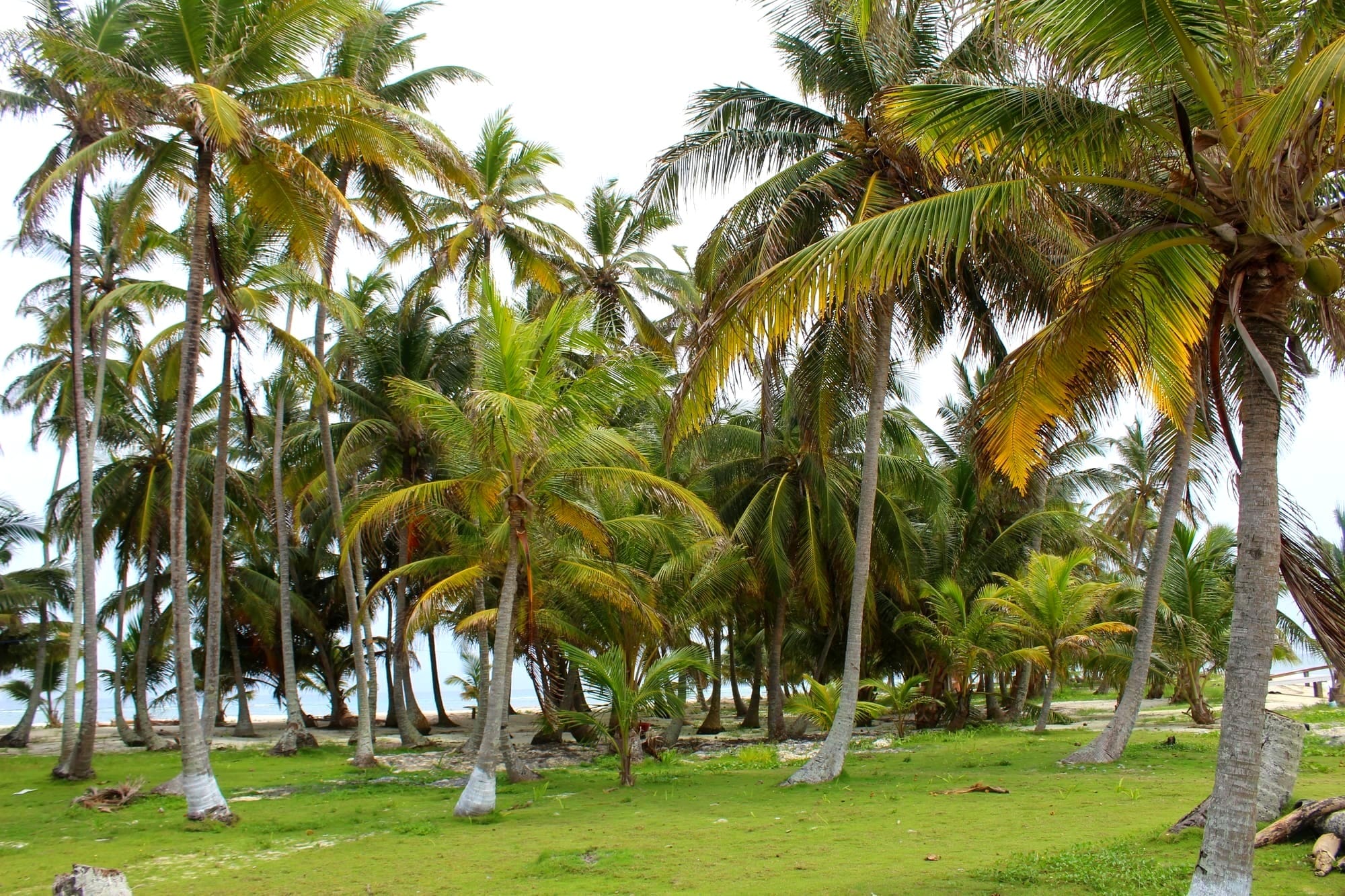 How I Spent A Weekend in Panamá City, Panamá 🇵🇦