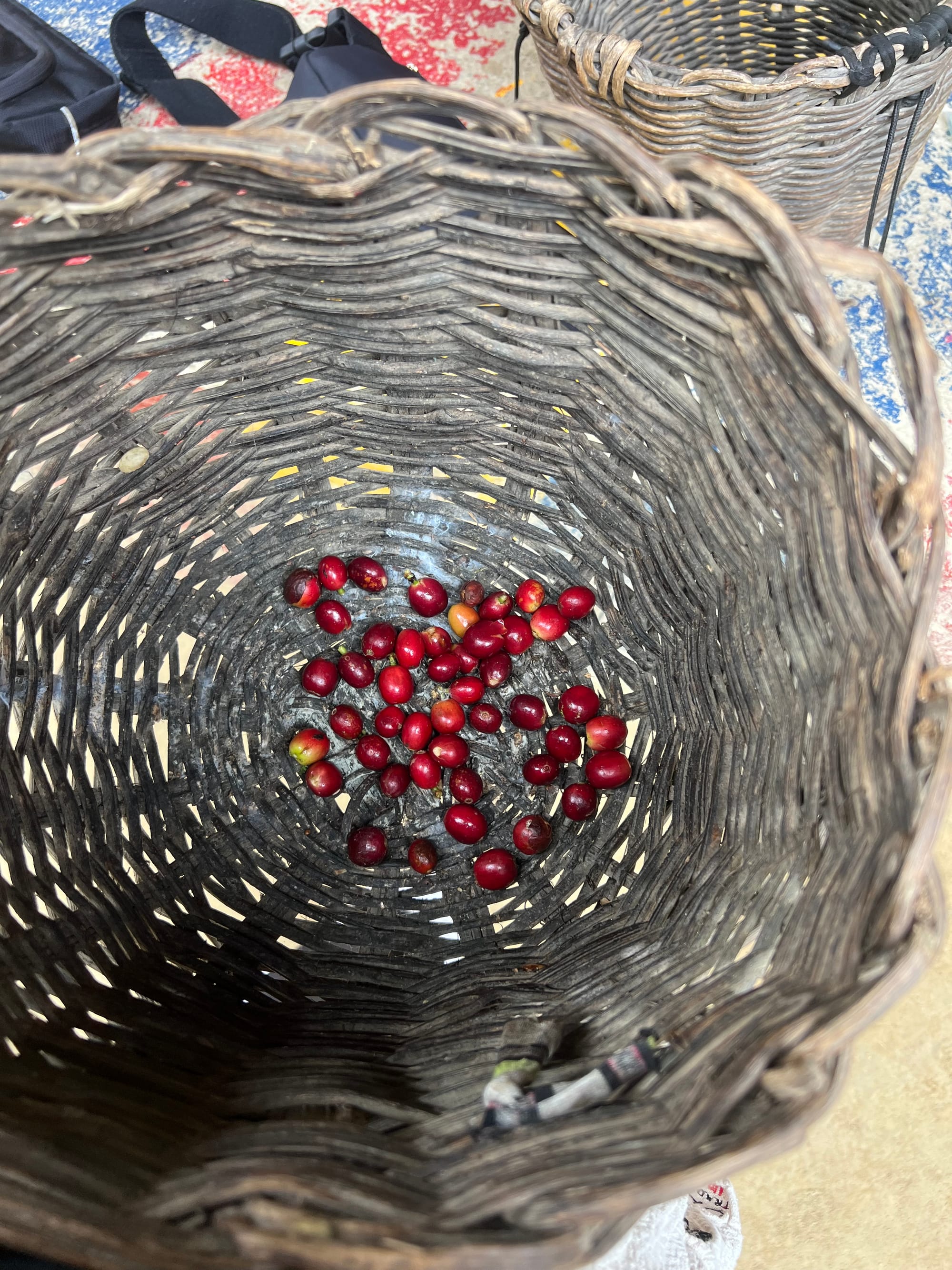 How I Spent A Week in Colombia 🇨🇴