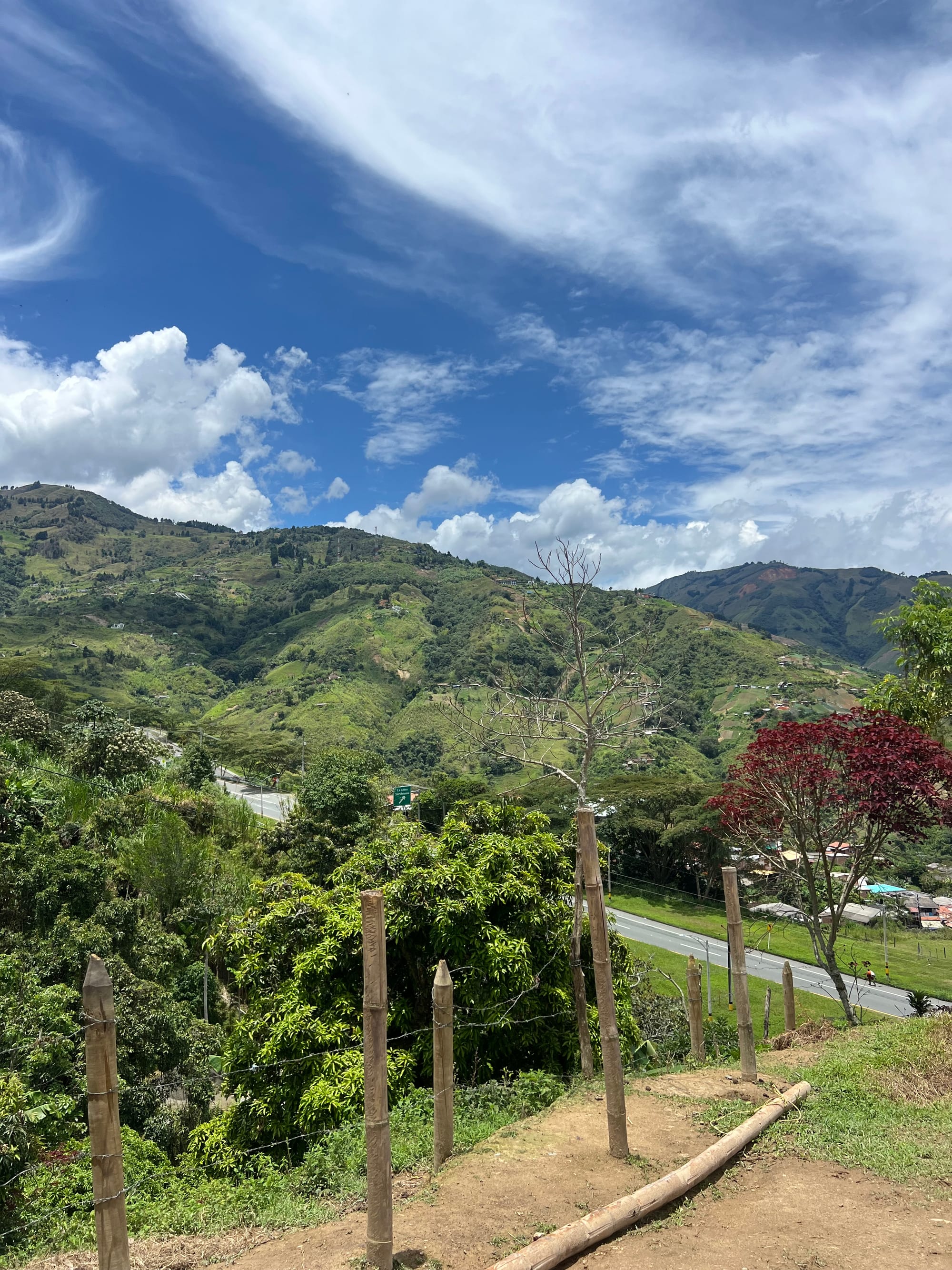 How I Spent A Week in Colombia 🇨🇴