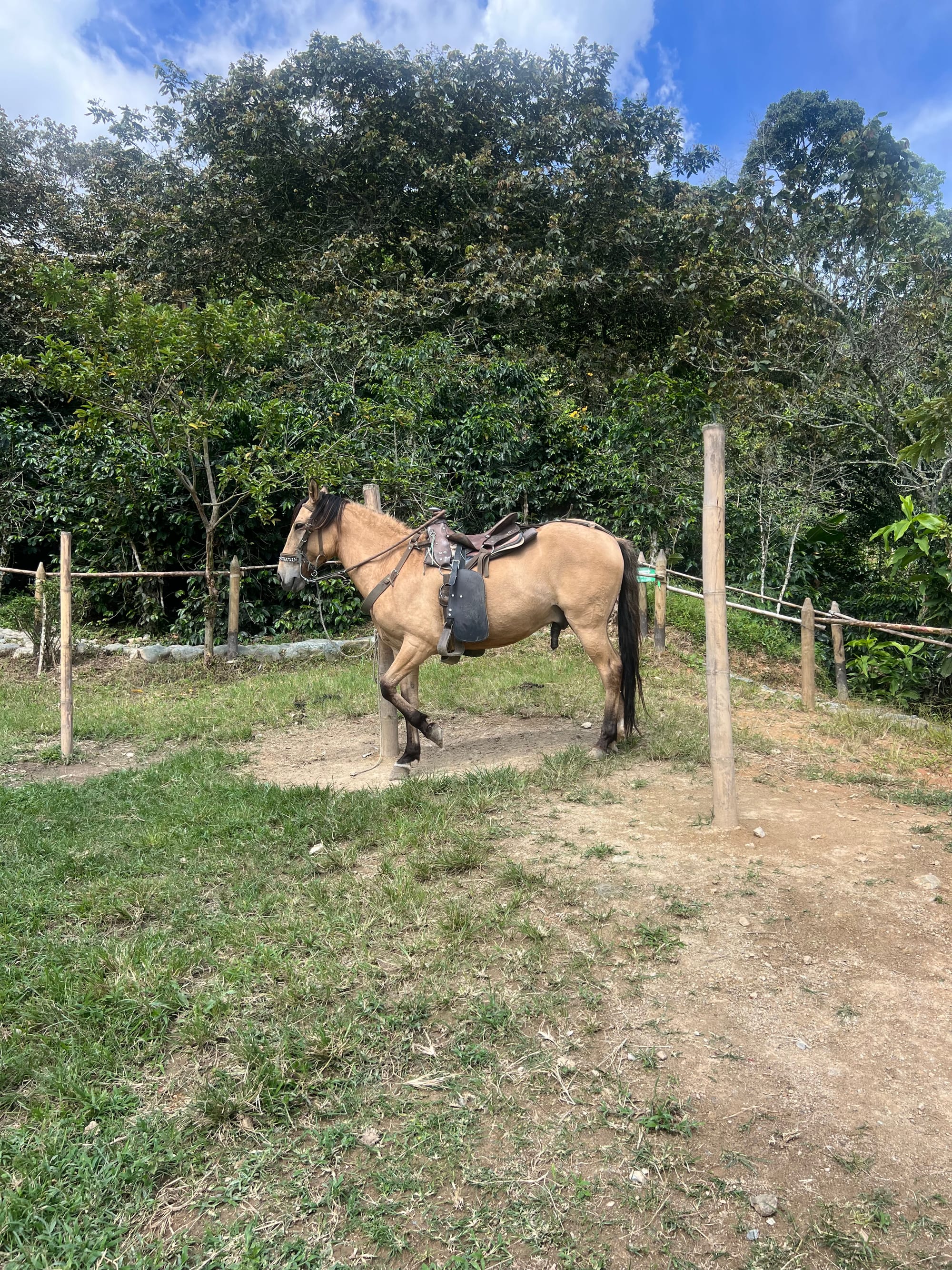 How I Spent A Week in Colombia 🇨🇴