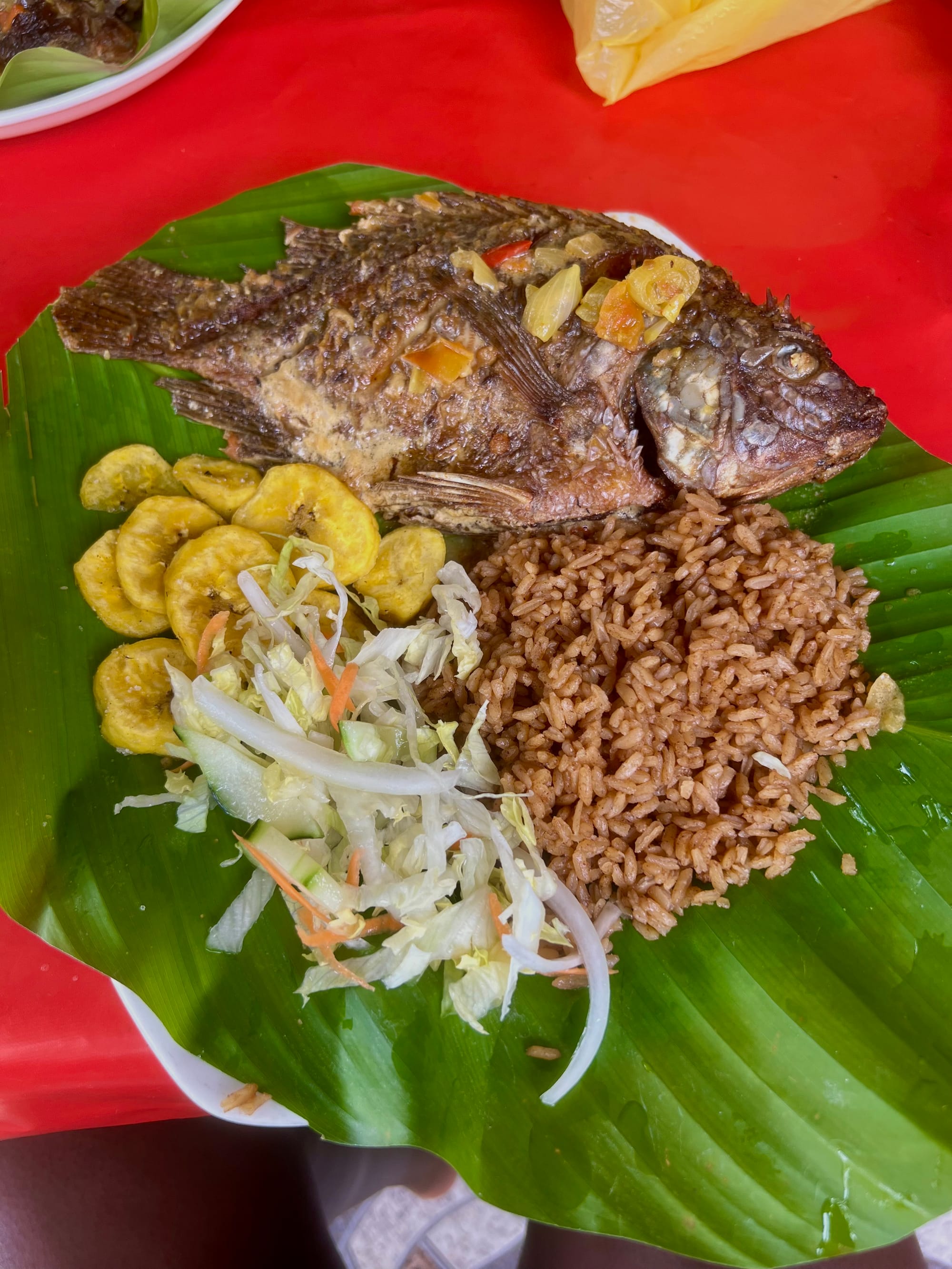 How I Spent A Week in Colombia 🇨🇴